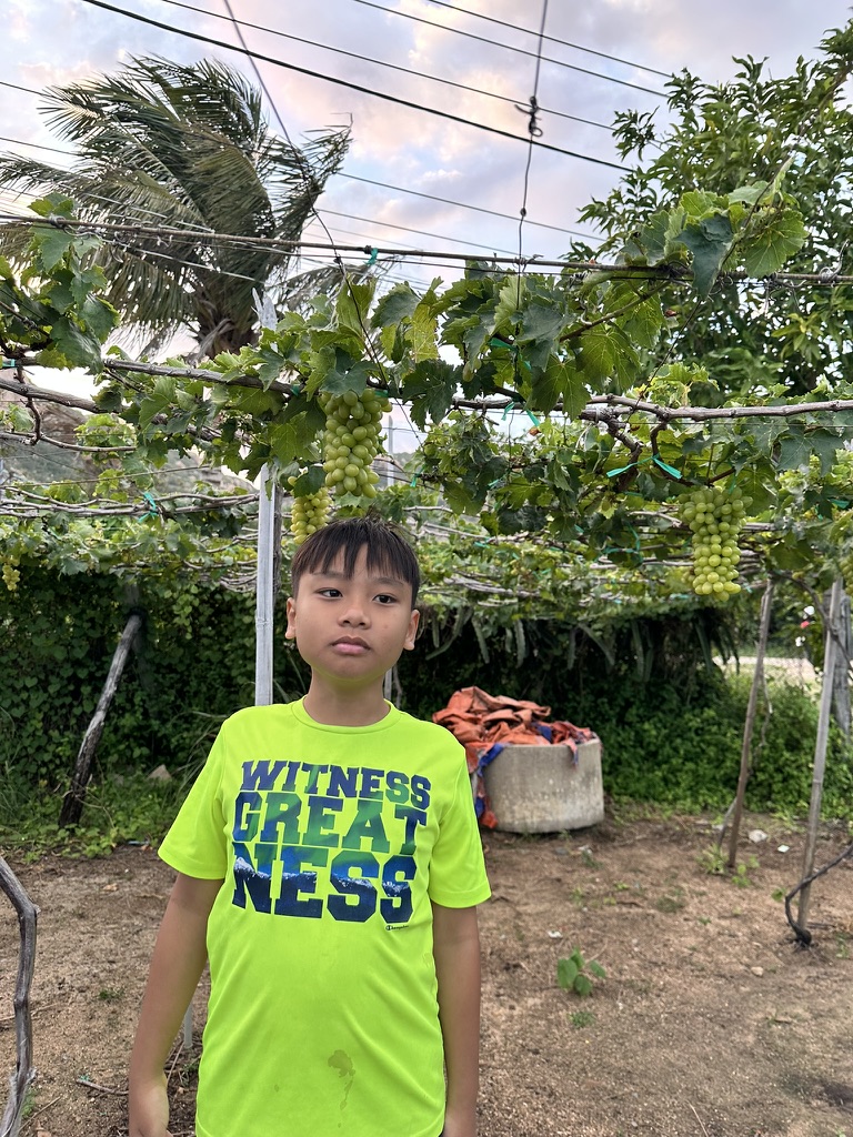 Minh Tiến trong vườn nho